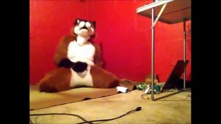 Foxy having some fun.